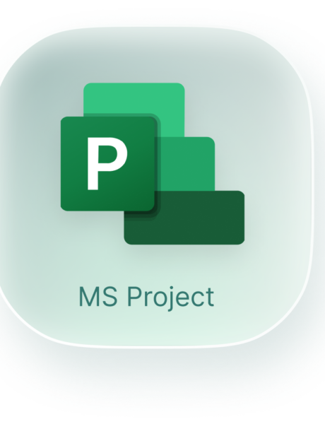 ms-project
