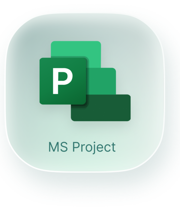 ms-project